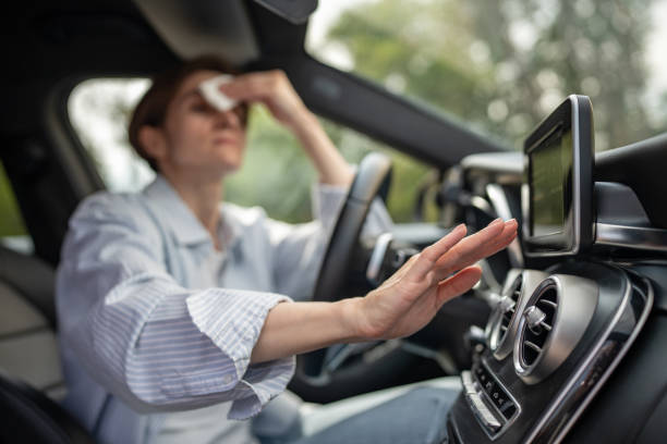 Best Central Air Repair  in Black Jack, MO